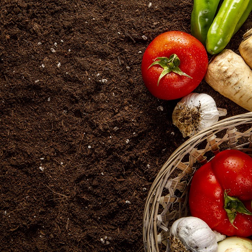 fashion-design-styling