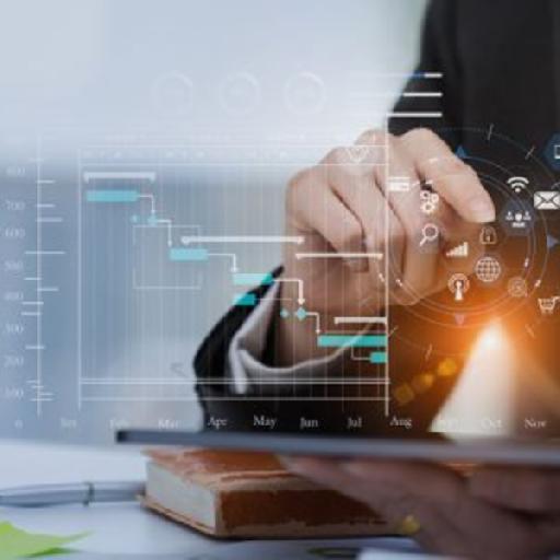 citsys - Advisory Services