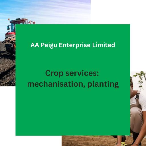AA Peigu Enterprise – Crop Services (Marketing & Mechanisation)
