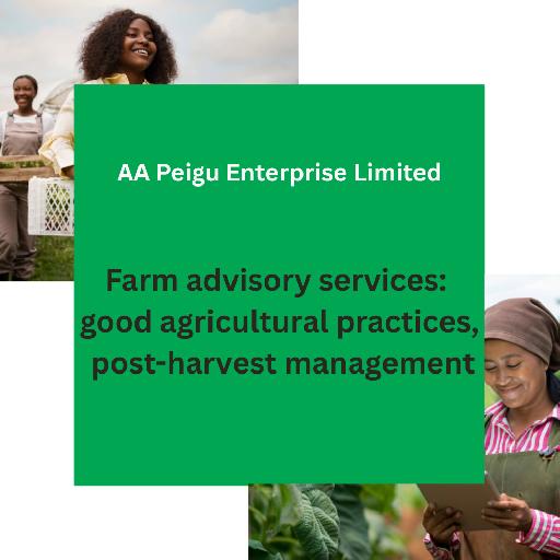AA Peigu Enterprise – Farm Advisory Services (Field Demonstrations & GAP Training)