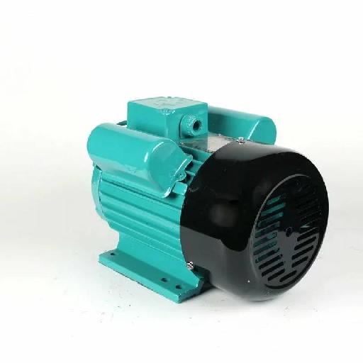 Electrical Motors 50Hz/60Hz Cast Iron Single Phase AC 2.2kW Reverse