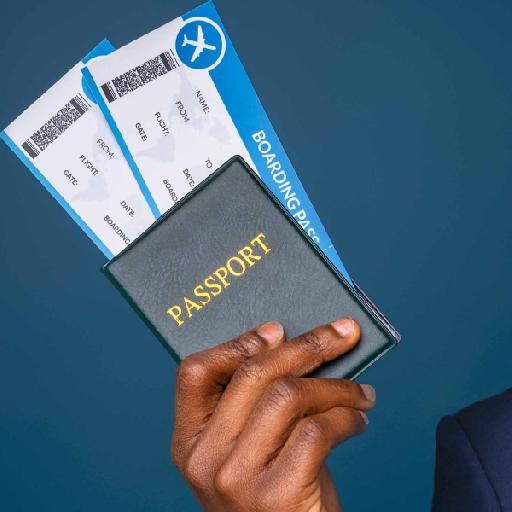 elidelprestige - Immigration Support Services