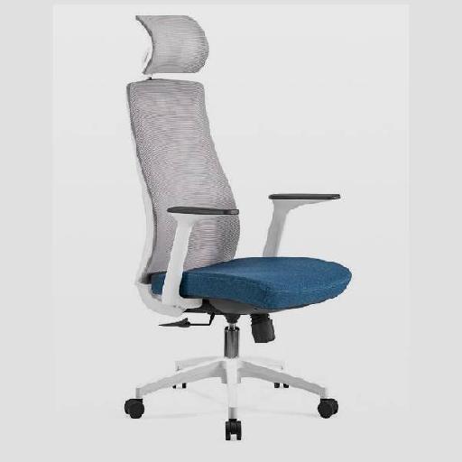 BEIRUT Highback Chair Grey and Blue Polypropylene Frame Ergonomic Office Chair with High-Density Foam Seat D28kg/m³ Comfortable Tall Backrest for Home Office or Study Room 127cm Height