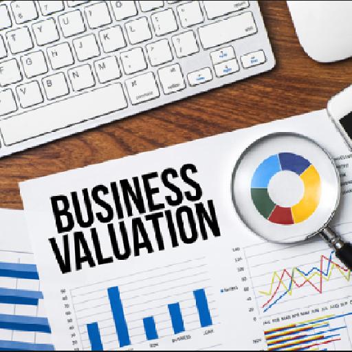 syncconsult - Business Valuation (BV) Services