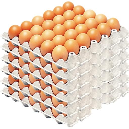 Poultry Hub – Unsorted / Medium Size Table Eggs – 14 Crates per Box