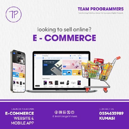 teamprogrammers - Web Development
