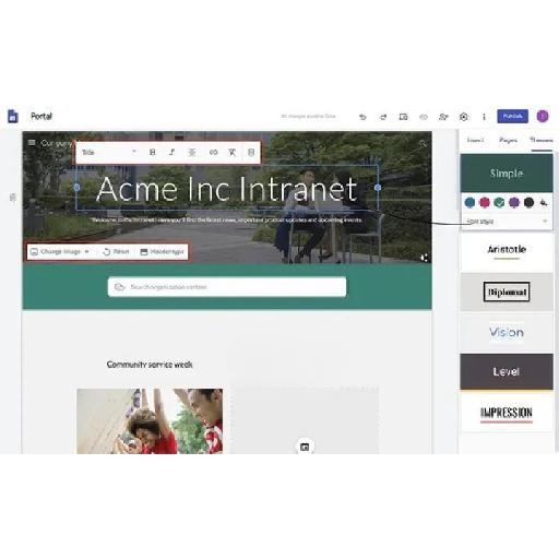I Will Design and Develop a Professional Business Website