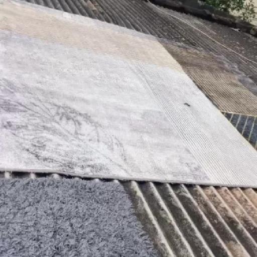 Jayish Cleaning Limited - Carpet Cleaning Services