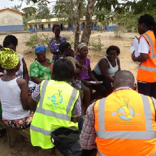 nemasconsult - Social and Community Development & Sustainability