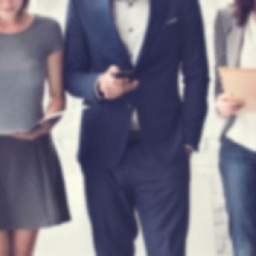 capstonegh - Job Seeker Solutions