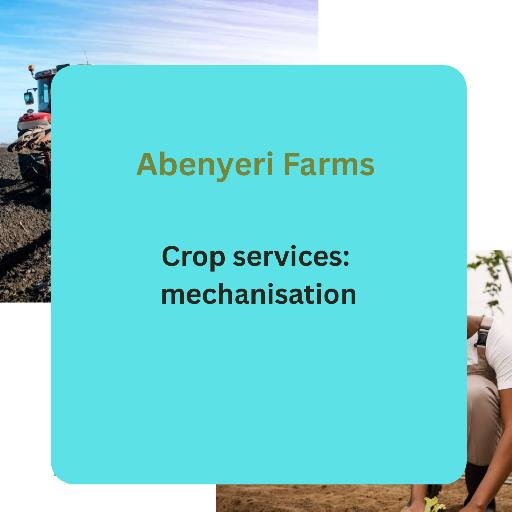 Abenyeri Farms – Mechanisation Services