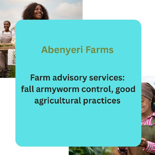Abenyeri Farms – Farm Advisory Services (Fall Armyworm Control & GAP Training)