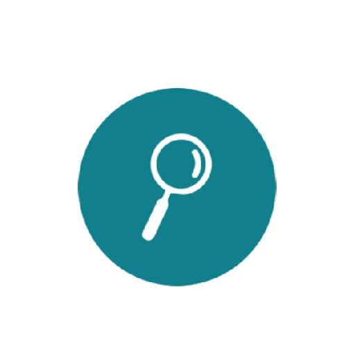 prymage - Tally Audit Analysis