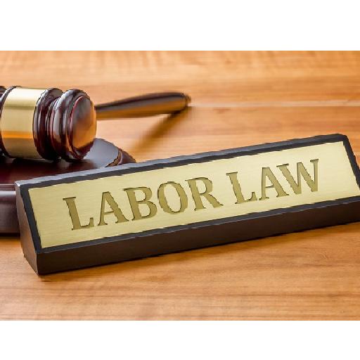 plato - Labour Law