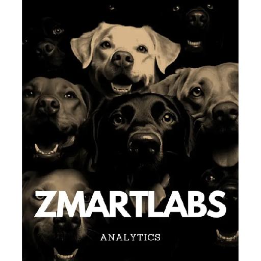 Zmart - Project Work/ Research Work/Thesis Writeup/ Academic Writing