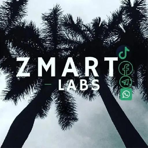 Zmart - GANTT Chart | Project Management | Thesis Timeline