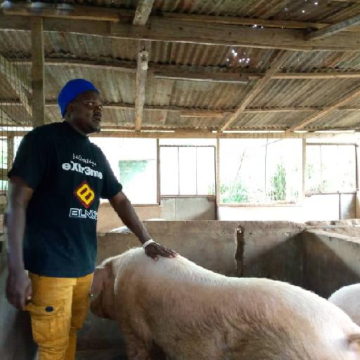 elitrust - Agribusiness Development