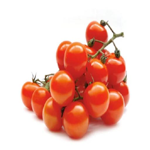 Fresh Tomatoes – Supplied by Dujis