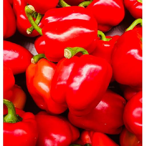 Red Pepper – Supplied by Dujis
