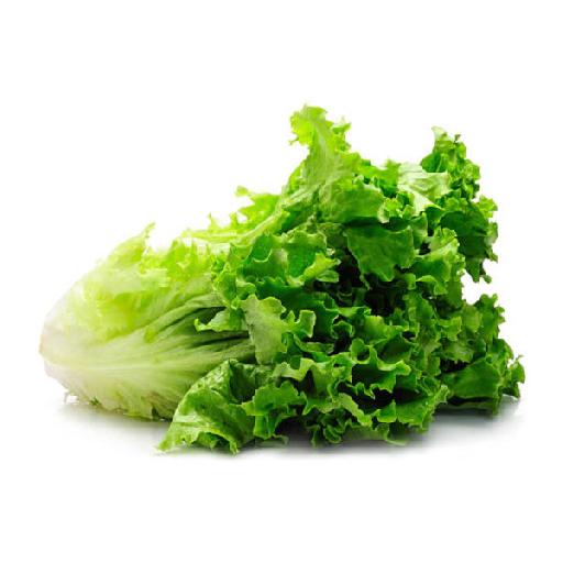Dujis – Lettuce (Pack)