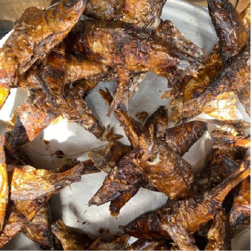 Dujis – Premium Ghanaian Dried Herrings