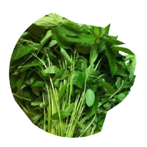 Dujis – Fresh Ayoyo Leaves (Pack)