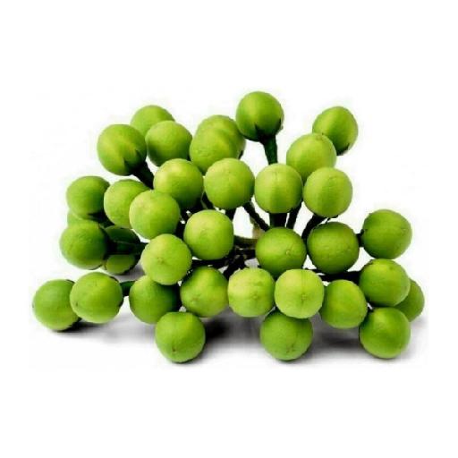 Dujis – Fresh Turkey Berry (Pack)