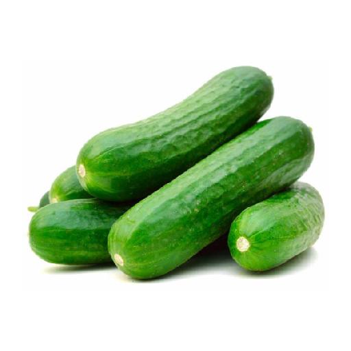Dujis – Fresh Cucumber (Small Size)