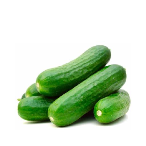 Dujis – Cucumber (Big Size, Fresh & Hydrating)