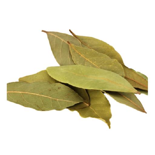 Dujis – Bay Leaf (A Pack)
