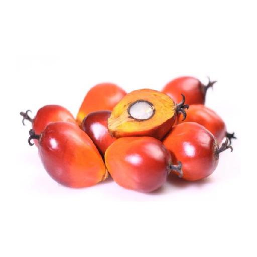 Dujis – Palm Nut (Olonka)