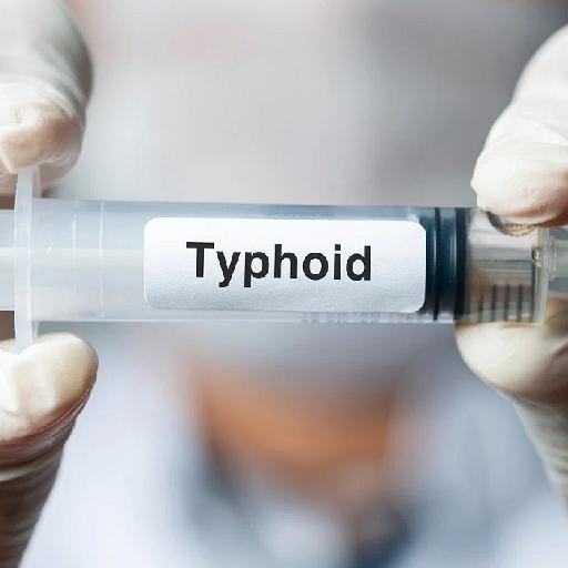 Dlabs - Typhoid Serology