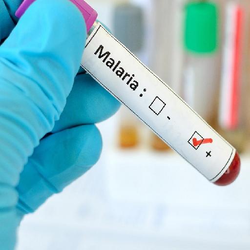 Dlabs - B/f for Malaria Parasites