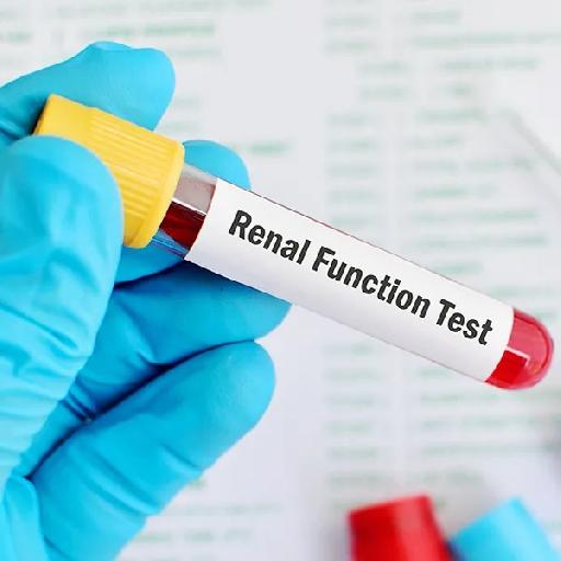 Dlabs - Renal Function Test + GFR