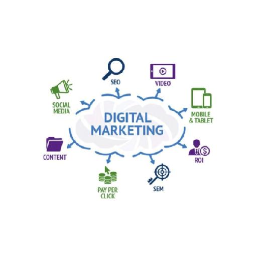 amfexnetwork - Digital Marketing