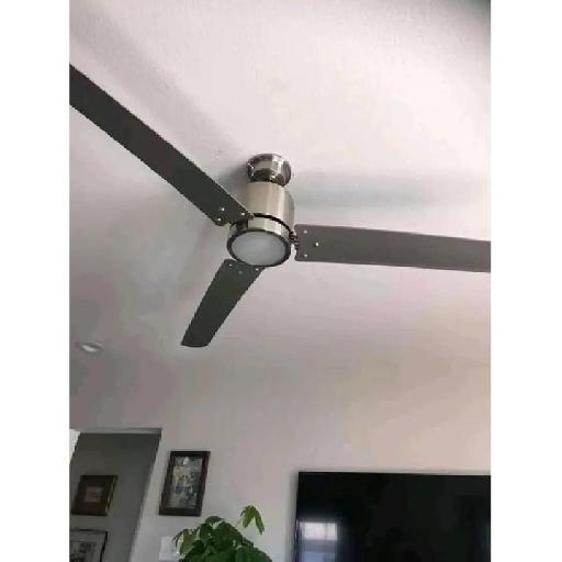 Gozi - Fan Repais