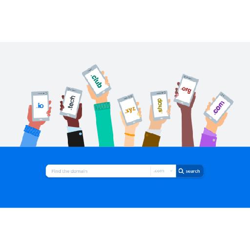 Domain Registration