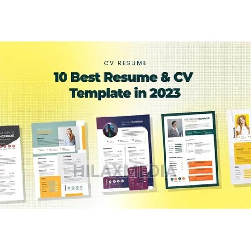 HilaxMedia - Professional CV or Resume Design Services
