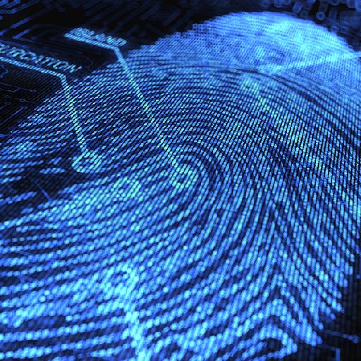 sommfasoconsults - Forensic Investigation