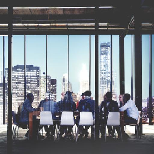sommfasoconsults - Fraud Risk Management