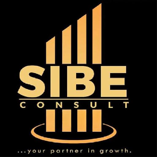 Sibe Consult - Professional Business Plans