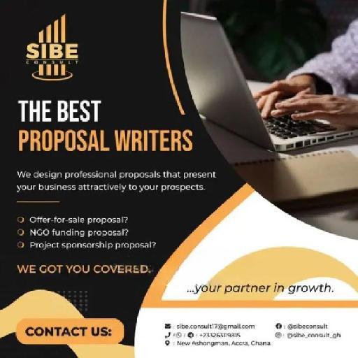 Sibe Consult - Professional Proposals