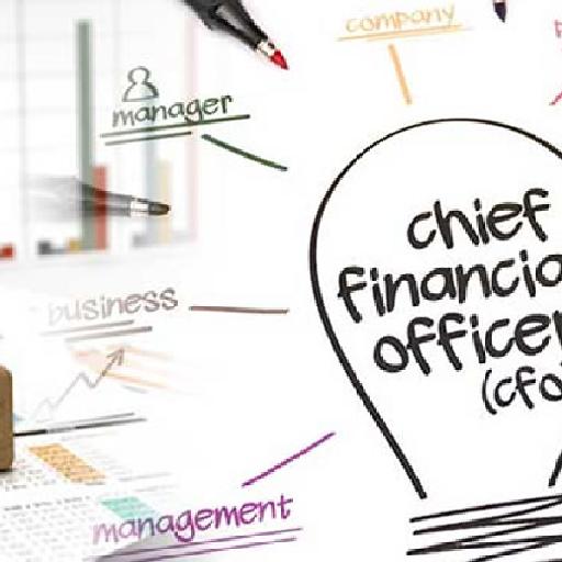 idsconsultingservices - Partial CFO Services