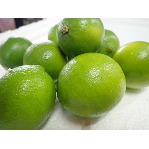 Big Samps – Lime