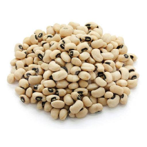 Big Samps – Beans – Cup