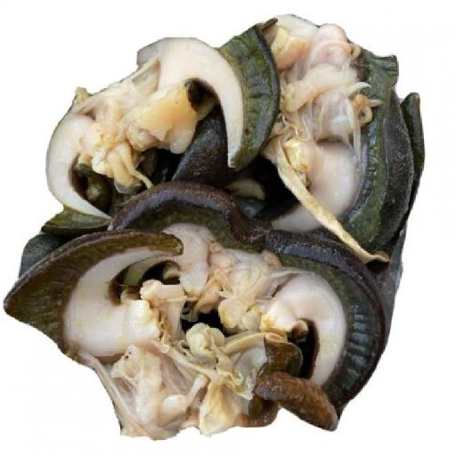 Big Samps – De-shelled Snails (Large)
