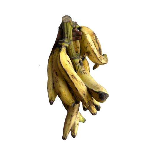 Big Samps – Ripe Plantain (1 Bunch)