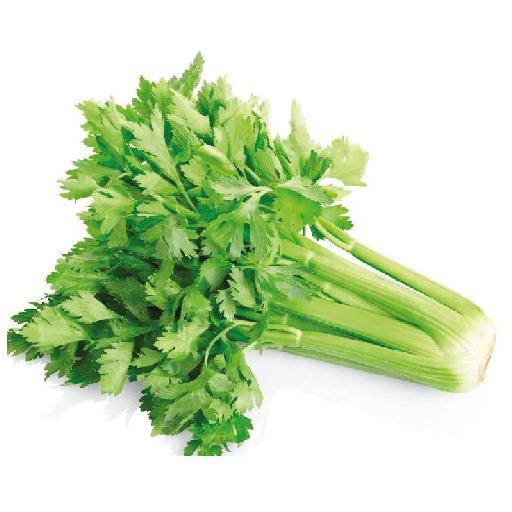 Fresh Celery | Big Samps Market