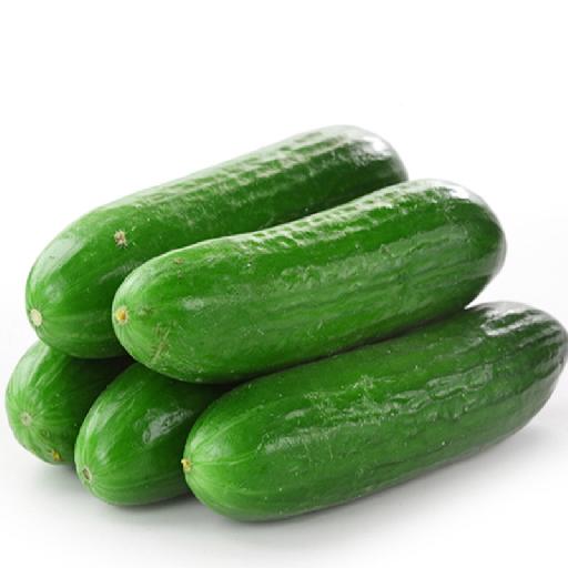 Cucumber | Big Samps Market