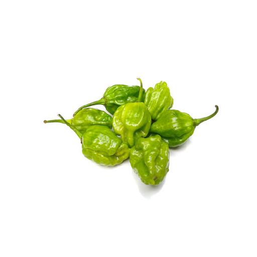 Green Scotch Bonnet Pepper | Big Samps Market
